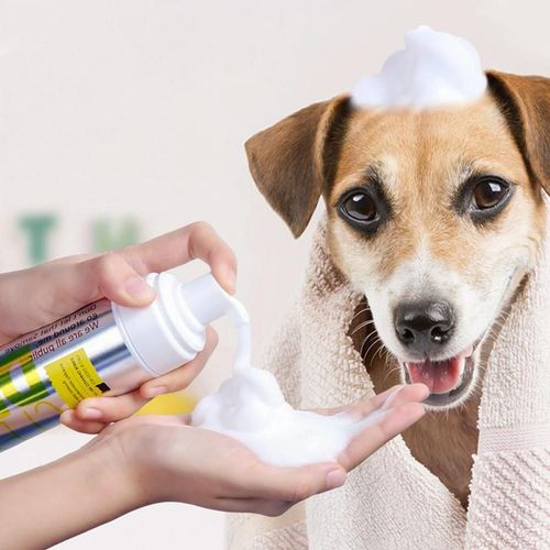 Shampooing Sec Pour Animaux De Compagnie, Sûr Et Sain, Chiens Malpistolet Ants, Chien, Chat, Vache, Chèvre, Cheval