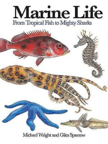 Marine Life