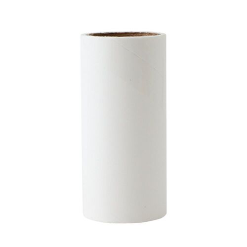 Rouleau de papier collant Portable et déchirable, essuie-poussière pour vêtements d'animaux, tapis, brosse de nettoyage remplaçable, nouveauté