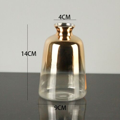 Vase en verre, décoration minimaliste moderne, Transparent dégradé doré, petit Vase hydroponique pour salon, nouveau
