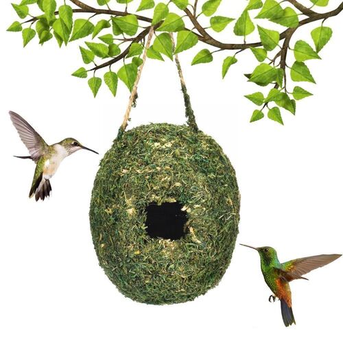 Maison D'oiseau De Colibri Pour La Décoration Extérieure, Accent D'oiseaux De Perroquet, Accent D'ange Naturel, Cabane D'oiseaux, Abri D'oiseaux, E2x9