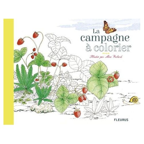 La Campagne À Colorier Et À Grifonner