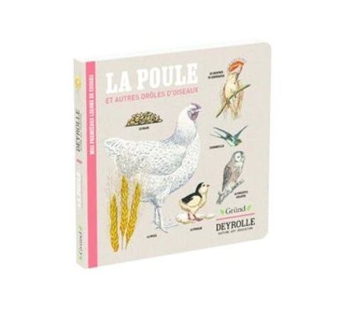 La Poule Et Autres Drôles D'oiseaux