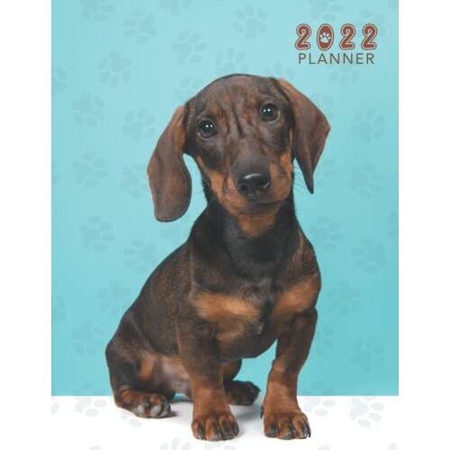 Dachshund Planner 2022: Monthly Weekly & Daily Schedule Organizer & Planning Agenda From January To December 2022,12 Month Simple & Minimalist Calendar Planner. Gifts For Dachshund Pet Owners & Lovers