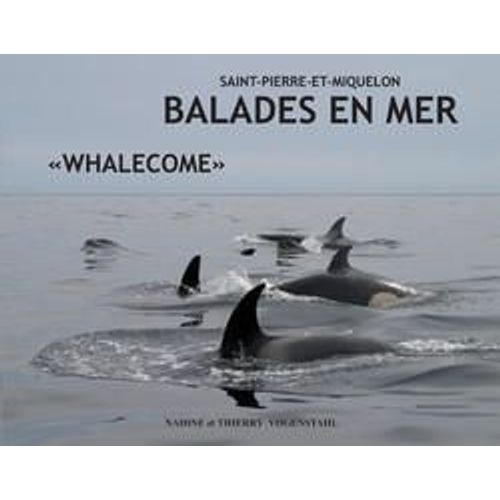 Ballades En Mer Saint Pierre Et Miquelon