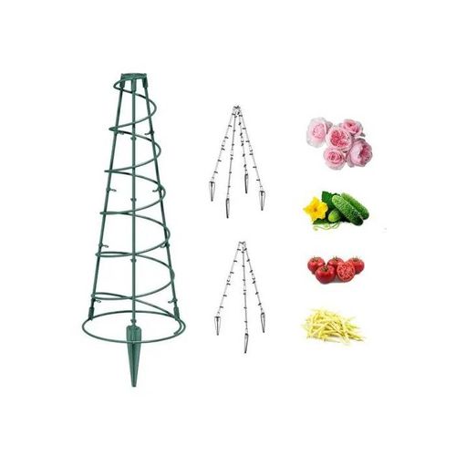 Support De Jardin Pyramide Cône Spirale Plante Grimpante H 60 Cm
