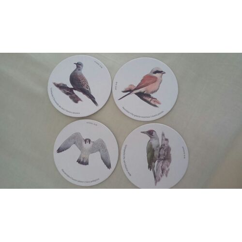4 Dessous De Verre Ronds Cartonnés Oiseaux Pie-Grièche Écorcheur / Pic Vert / Faucon Pèlerin / Tourterelle Des Bois