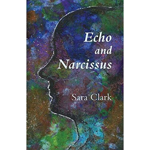 Echo And Narcissus