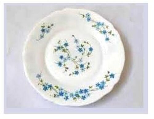 Plat Assiette Arcopal Plate Myosotis 23 Cm Blanc Et Bleu Incassable Resiste Au Variation Temperature Arcoroc Luminarc Pyrex