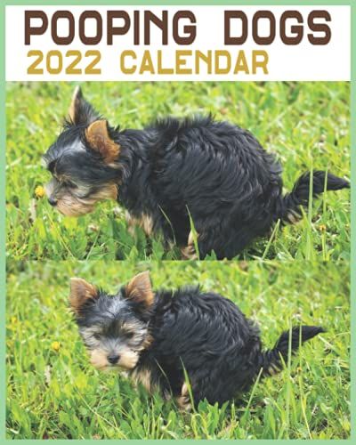 Pooping Dogs Calendar 2022: Calendar Planner 2022 Monthly Planner, Calendar Journal Notebook, Pet Lover Gifts, Dog Lover Gifts For Women Funny