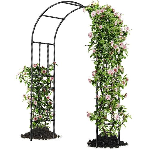 Asfasfq-Arche De Jardin Pour Plantes Grimpantes,120x240x40cm¿Arceau Métallique Pour Rosiers, Tonnelle Décorative Extérieure, Résistante À La Rouille Et À La Décoloration