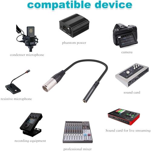 ASFASFq-Câble 1/8 Pouces Vers Xlr Femelle Vers Mâle, Mini Jack Stéréo Silencieux, Faible Perte, Câble De Microphone De 3.5mm, Cordon Adaptateur Xlr 11,8 Pouces, xlr jack, adaptateur xlr jack, xlr jac