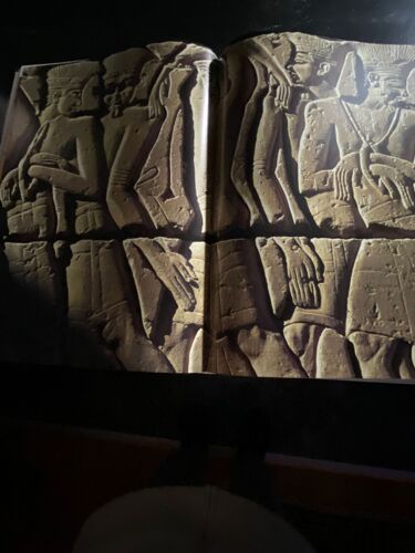 Livre : Louxor Et La Vallee Des Roispar Alessandro Bongioanni