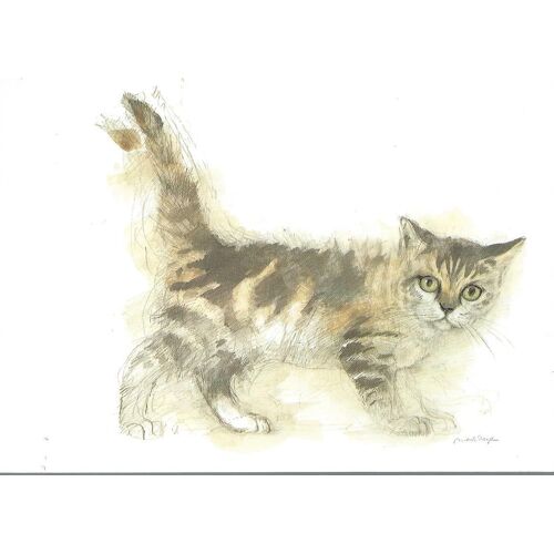   Carte Postale Moderne En Couleurs ( Chat / Chats / Cat / Cats ) Réf. Ehz 97.07.03 : Mads Stage
