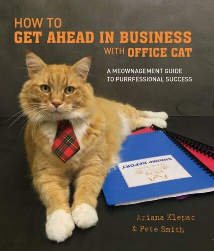 How To Get Ahead In Business With Office Cat