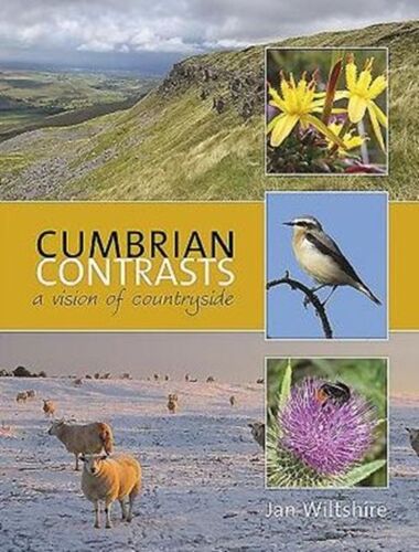 Cumbrian Contrasts: A Vision Of Countryside