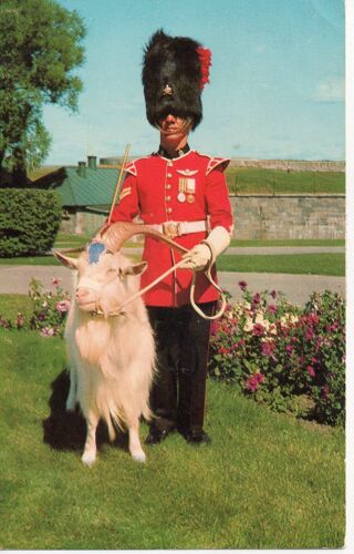 Canada - Le Caporal Attitré À La Garde De "Baptiste", La Mascotte Du Royal 22è Régiment À La Citadelle (Québec, Militaire Et Bouc)