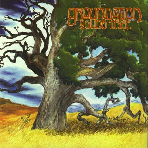 Groundation - Young Tree [Compact Discs]