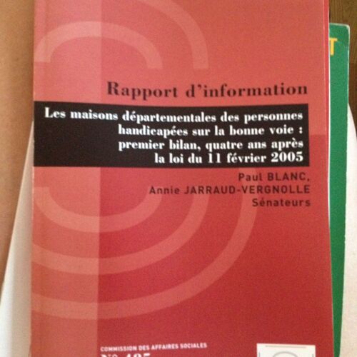 Rapport D'information: Les Maisons Departementales...La Loi Du 11 Fevrier 2005 