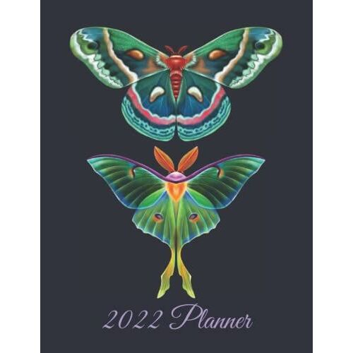 2022 Daily Planner: Tropical Butterfly Dated Daily Weekly Monthly Planner Agenda January 2022 - December 2022