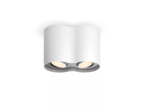 Spot Philips Hue Double Pillar