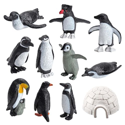 Figurines De Pingouin De L'Océan, 11 Pièces, Jouets Cognitifs Éducatifs Pour Enfants, Modèles D'Animaux De La Mer Antarctica
