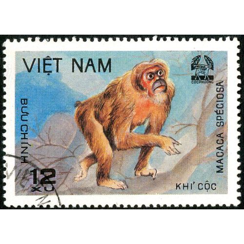 Timbre Oblitéré Viet Nam, Buu Chinh, Khi Cok, Macaca Speciosa, 12 Xu