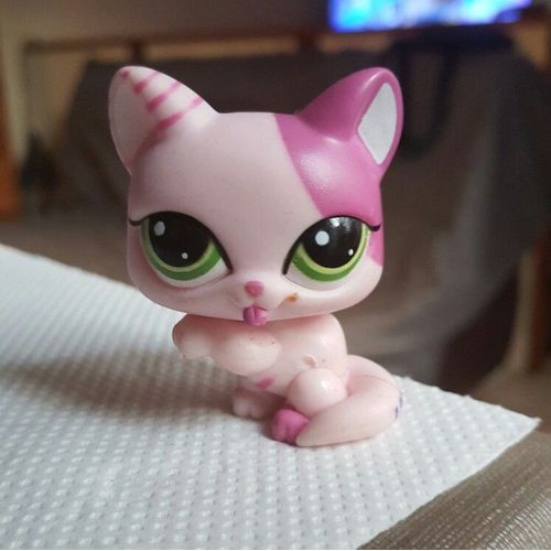 Petshop 1856 Chat