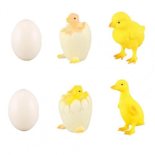 Kit De Jouets Pour Enfants, 6 Pièces/Ensemble, Simulation De Poussin, Haute Imitation Interactive, Joli Modèle De Croissance Du Cycle De Vie Animal Ferme De Poulet Pour Enfants
