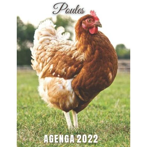 Agenda Poules: Planificateur Journalier "Thème Poules Poussins" | Grand Format 21.59 X 27.94 Cm | Sur 12 Mois, De Janvier À Décembre| 1 Jour Par Page | Organiseur Mensuel Annuel | Planner