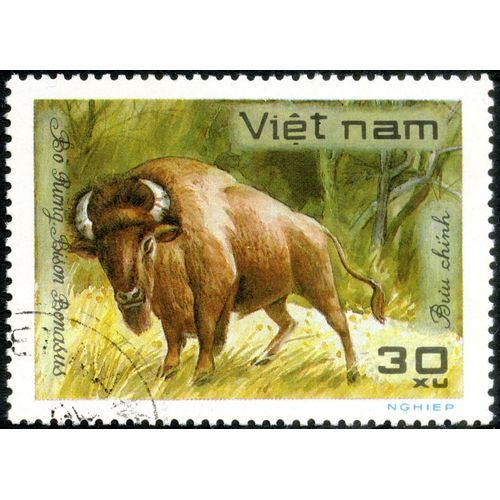 Timbre Oblitéré Viet Nam, Buu Chinh, Bo Rung , Bison Bonasus, 30 Xu