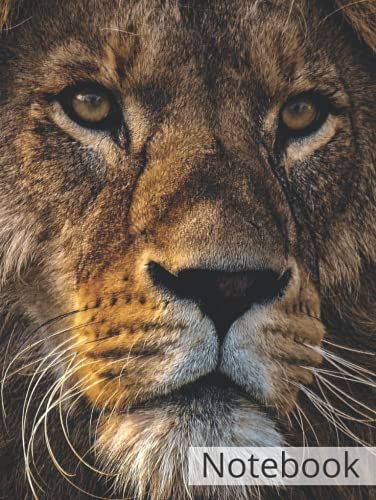 Lion Head King Composition Notebook " Hardcover "/ By : Limam School: ( Lion, King, Face, Head, Lion Head, Wild Animal, Africa, Predator, Big Cat, ... Cat, Nature, Animal World, Fur , Portrait, )