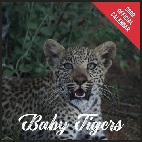 Calendar 2022 Baby Tigers: Baby Tigers Official 2022 Monthly Planner, Square Calendar With 19 Exclusive Baby Tigers Photoshoots From July 2021 To December 2022