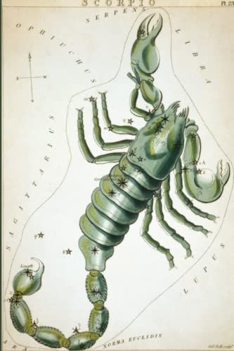 Scorpio Notebook Journal/ Scorpio Notebook, Gift For Who Born In October And November: Wide Blank Lined Workbook For Teens Kids ... For Home School College For Writing Notes