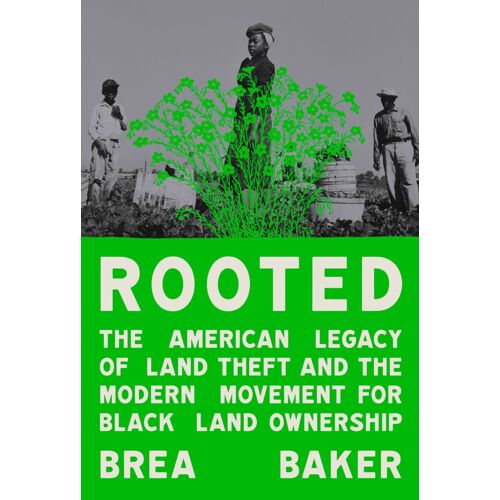 Rooted