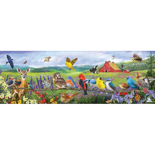 Puzzle Pièces Xxl - Oiseaux De L'est - Puzzle 500 Pièces