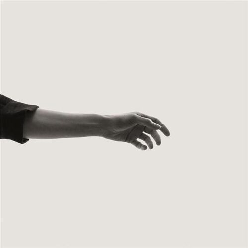 Limbs - Vinyles
