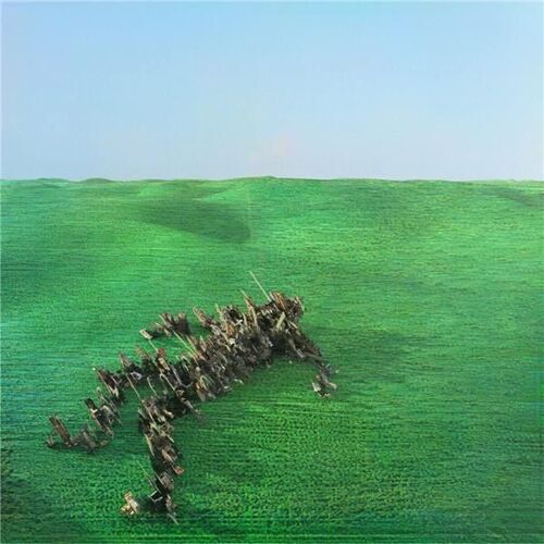 Bright Green Field - Vinyles