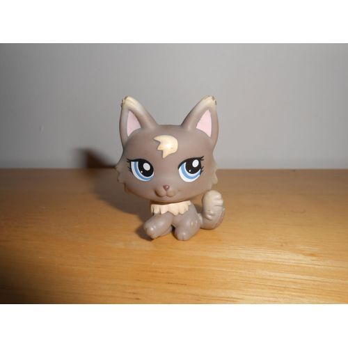 Petshop Chat Persan Gris N° 1411
