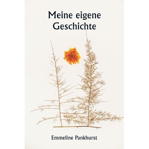 Meine Eigene Geschichte