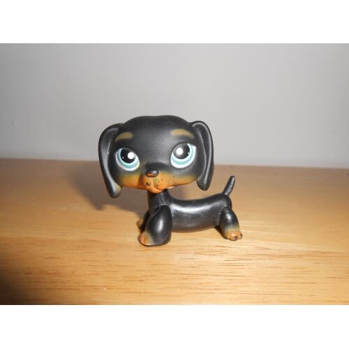 Petshop Chien Teckel Noir N° 325