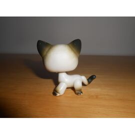 PETSHOP XXL CHAT Europeen  Fleuri  / Grand Format ( N°2) EUR 17,90 - FR
