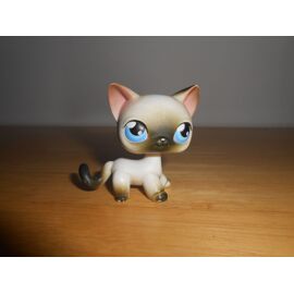Petshop Chat Européen 2194 Authentique