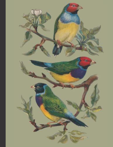 Vintage Birds Notebook: Lined Composition Book, Journal, Diary, Workbook, Notepad For Students, Children, Adults, Wide Ruled, 120 Pages