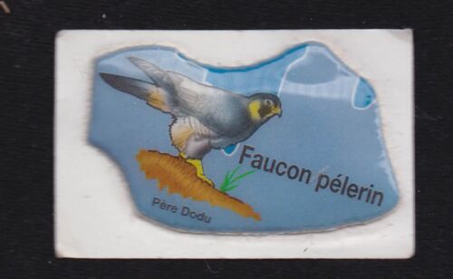 Autocollant Père Dodu : Faucon Pélerin