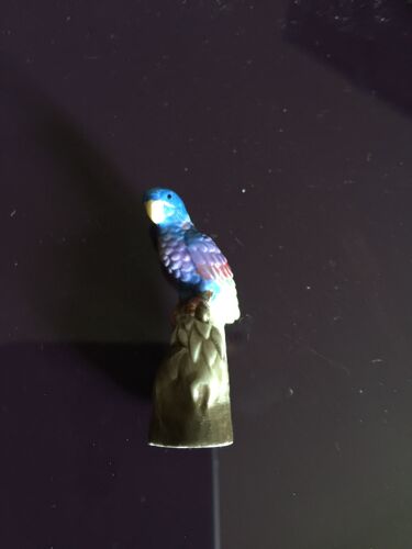 Feve Peroquet Sur Perchoir