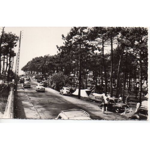 Sion-Sur-L'océan, Avenue De La Forêt Et Le Camping (85 Vendée, Animée, Autos 4cv)