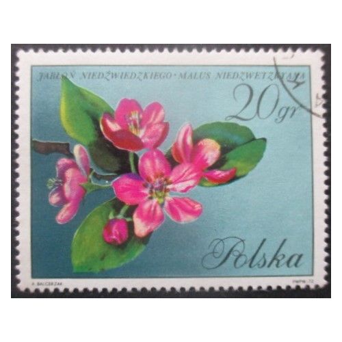Pologne N°1980 Fleurs Oblitéré