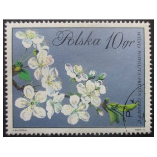Pologne N°1979 Fleurs Oblitéré