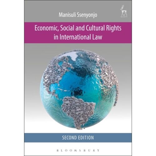 Economic, Social And Cultural Rights In International Law
